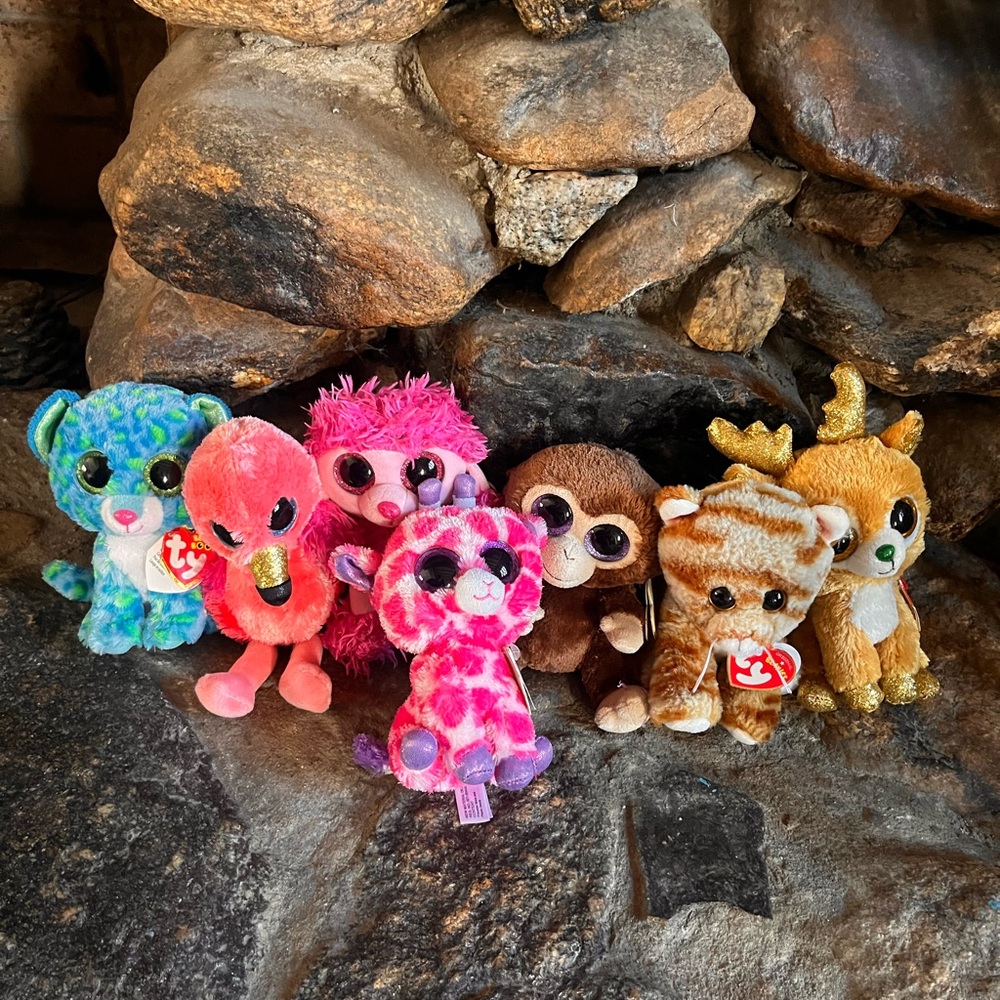 Ty beanie baby bundle